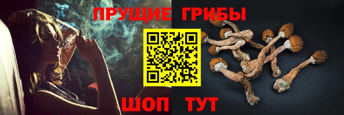 Галлюциногенные грибы мухоморы Верхний Уфалей