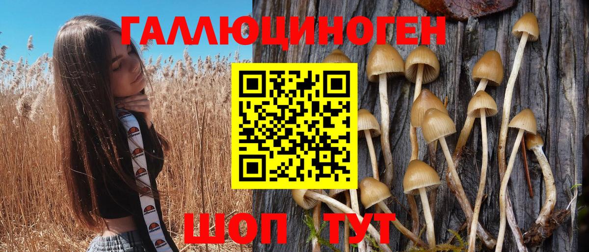 Верхний Уфалей  Галлюциногенные грибы прущие грибы  Псилоцибиновые грибы ЛСД  Вход с VPN 